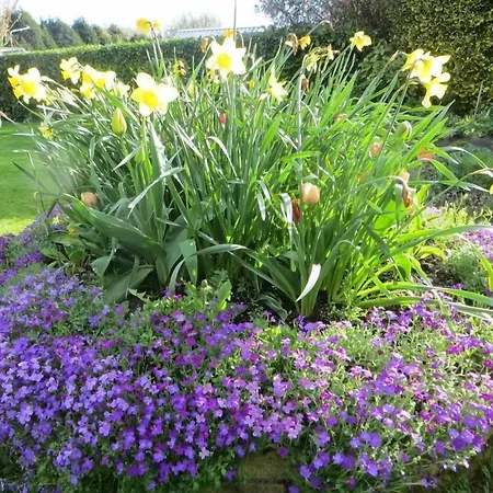 Heritage ゲストハウス ダンドーク